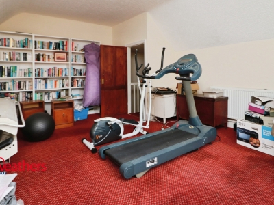 Picture 23